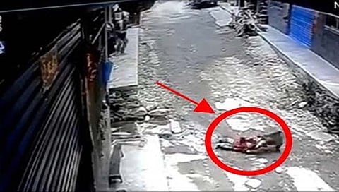 माकडाकडून चिमुकलीच्या अपहरणाचा प्रयत्न, अन्… (Video)