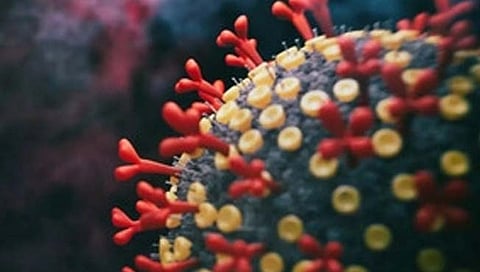 घाबरु नका! कोरोनाच्या XE व्हेरियंटचा मुंबईतील संशयित रुग्ण ठणठणीत, संपर्कातील व्यक्तींचेही अहवाल निगेटिव्ह