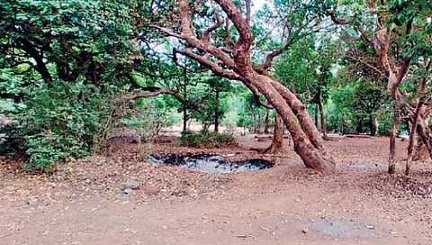 महाबळेश्वर : बॅबिंग्टन पॉईंट मोजतोय अखेरच्या घटका
