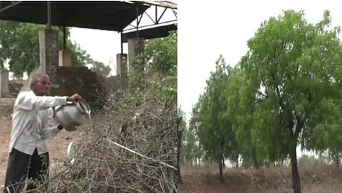 वाशिम : रखरखत्या उन्हातही दूरवरून डोक्यावर पाणी आणून स्मशानातील झाडे जगविणारा सुदामा