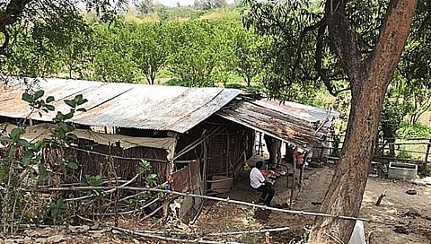 शेतशिवारात खून