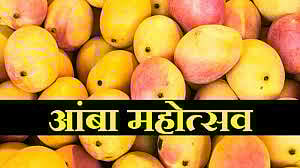 नाशिक www.pudhari.news