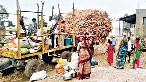 ऊसतोड मजूर लागले परतीच्या प्रवासाला; बहुतांश साखर कारखान्यांचा गाळप हंगाम उरकला