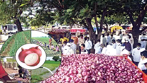 कांदा www.pudhari.news