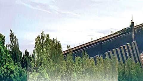 सातारा : भकास कोयना झकास होणार का ?