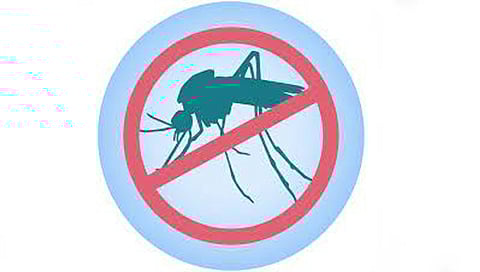 नाशिक : डासांचा प्रादुर्भाव रोखण्याची जबाबदारी सर्वच विभागांची : आयुक्त