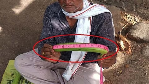 तब्बल १३ इंच लांबीची केळी : रिलायन्स कंपनी ‘या’ शेतकऱ्याची ग्राहक