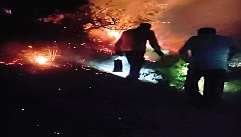 नाशिक : पांडवलेणीच्या माथ्यावर भडकली आग, साडेतीन तासांच्या प्रयत्नांनतर नियंत्रण