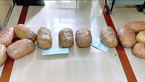 ‘त्या’ फार्महाऊसमधून 22.83 किलो गांजा जप्त