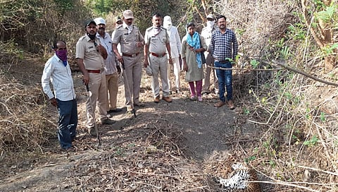 धुळे : त्या नर बिबट्यावर अंत्यसंस्कार, कसे करतात अंत्यसंस्कार?