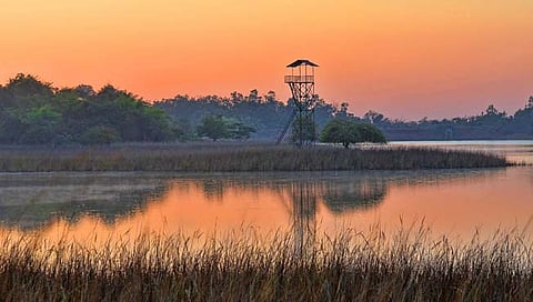बुद्ध पौर्णिमेला ताडोबात पर्यटक घेणार वन्यजिवांबाबत निसर्गानुभव !
