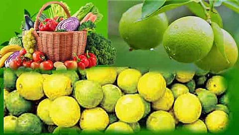 पणजी : लिंबू 50 रुपयांना आठ तर टोमॅटो 60 रु. किलो