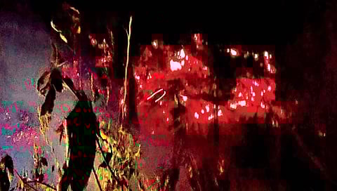 महाबळेश्वर : बॅबिंग्टन पॉइंट जंगलात वणवा