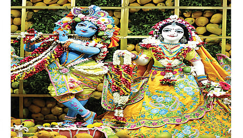 नाशिक : इस्कॉन मंदिरात सजविण्यात आलेली राधा-कृष्णाची मूर्ती.