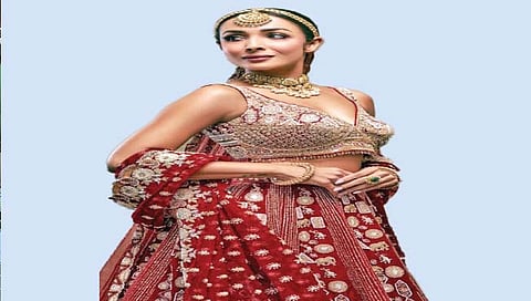 अखेर मलायका-अर्जुन बांधणार लगीनगाठ! www.pudharinews.