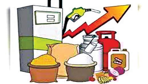 नाशिक www.pudhari.news