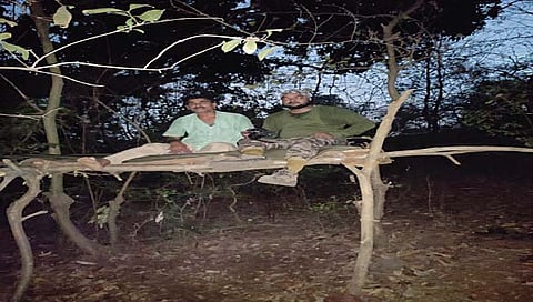 कर्नाळ्यात रानडुक्कर अन् हनुमान लंगूर!