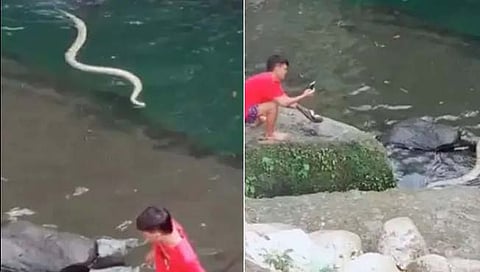 अबब! नदी काठी अंघोळ करतानाचं आला मोठा विषारी साप अन् झालं अस (Video) www.pudharinews.