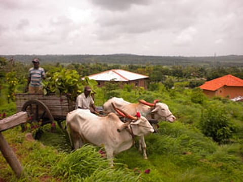 सर्वाधिक कृषी पर्यटन केंद्रे पुणे जिल्ह्यात