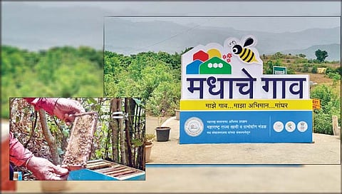 Honey Village : राज्यातील २१ गावांंना आता मधाची गोडी
