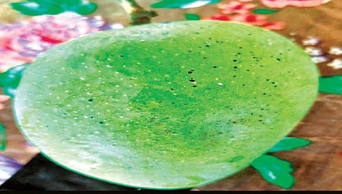 पुढारी विशेष : हापूसवर आता फळमाशीचे संकट!