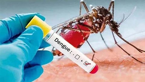 पुणे शहरात डेंग्युचे रुग्ण वाढले