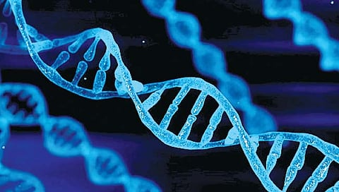 चंद्रावर मानवी ‘डीएनए’ची बँक