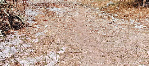 भीमा नदीकाठच्या गावागावांत गावठी दारूच्या प्लास्टिकच्या पिशव्यांचा लागलेला ढीग.