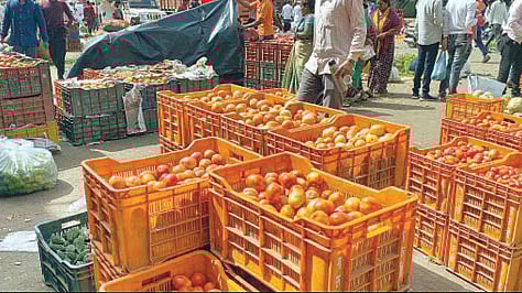 टोमॅटोच्या क्रेटला 2500 रुपयांचा भाव; शेतकरीवर्गात समाधानाची भावना