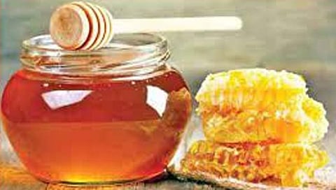 सातारा : मांघर होणार देशातील पहिले मधाचे गाव