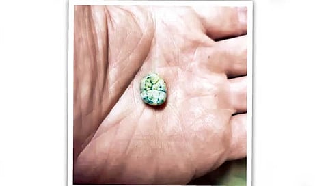 डेनिसोवन मुलीच्या दाताचा शोध