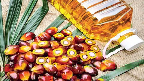 Palm oil : महागाईच्या आगीत ‘पामतेल’