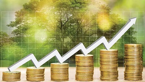 Contra Fund : साहसी गुंतवणूकदारांसाठी आदर्श फंड