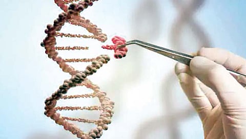 ‘डीएनए’मध्ये बदल करून रोखता येईल हार्टअॅटॅक, समोर आला प्रभावी उपाय