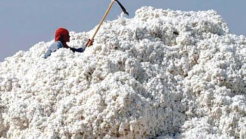 सोलापूर : कापूस दरातील अनियंत्रित दरवाढीमुळे सूत गिरण्या संकटात