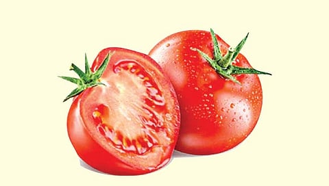 टोमॅटो नेमका आला तरी कुठून?