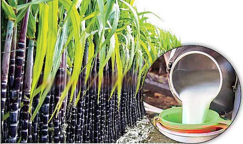 उसाप्रमाणे दुधाला हवी ‘एफआरपी’; दराला कायद्याचे संरक्षण हवे