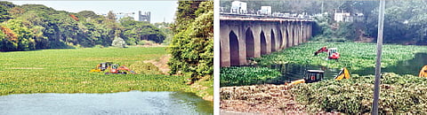 होळकर पुलाजवळ नदीपात्रातील जलपर्णी काढताना महापालिकेची यंत्रणा. दुसर्या छायाचित्रात येरवड्याजवळ नदीपात्रातील जलपर्णी काढताना कर्मचारी. (छाया : अनंत टोले)