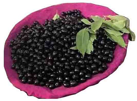 गुजरातची जांभळे ट्रॅव्हल्सने पुण्यात