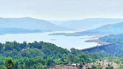 कोयना धरण