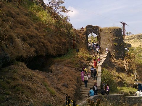 सिंहगड किल्ल्यावर फिरायला आलेल्या पर्यटकांवर मधमाशांचा हल्ला