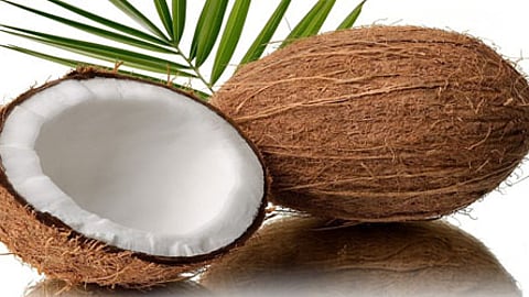 Coconut Price Hike