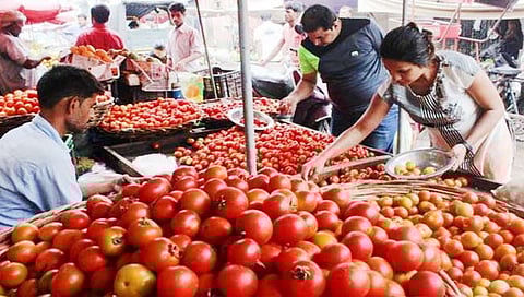 Tomatoes Price : टोमॅटो १०० रुपये किलो झाला; आवक कमी झाल्याचा परिणाम