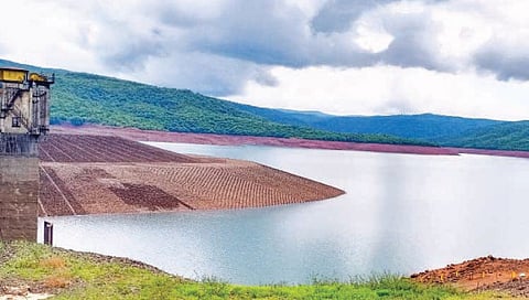 चांदोली धरणात 12.71 टीएमसी पाणीसाठा