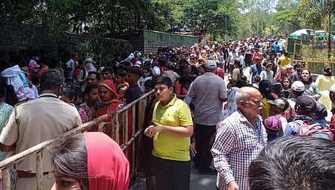 पुणे : राजीव गांधी प्राणीसंग्रहालयात पर्यटकांची गर्दी