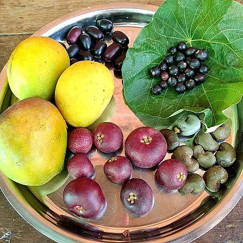 Pimpri: Mountain black myna enters the city