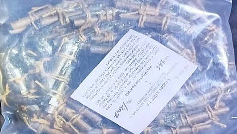 Detonators : नागपूर रेल्वे स्थानकावर जिवंत स्फोटकांची बॅग आढळल्याने खळबळ