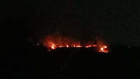 नागपूर : स्फोटके कंपनीला वेढलेल्या जंगलाला आग, मोठा अनर्थ टळला