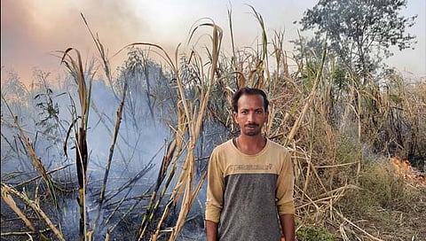 जालना : कारखाना ऊस नेत नसल्याने शेतकऱ्याने पेटवला उभा ऊस