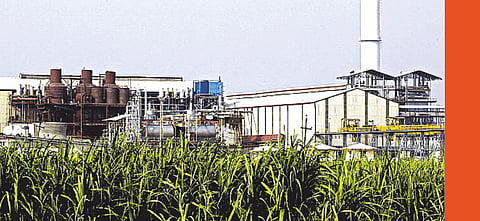 महाराष्ट्रात साखर उद्योगाची उलाढाल एक लाख कोटी; ऊसगाळपाचे ‘टर्नओव्हर’ दुपटीने वाढले!